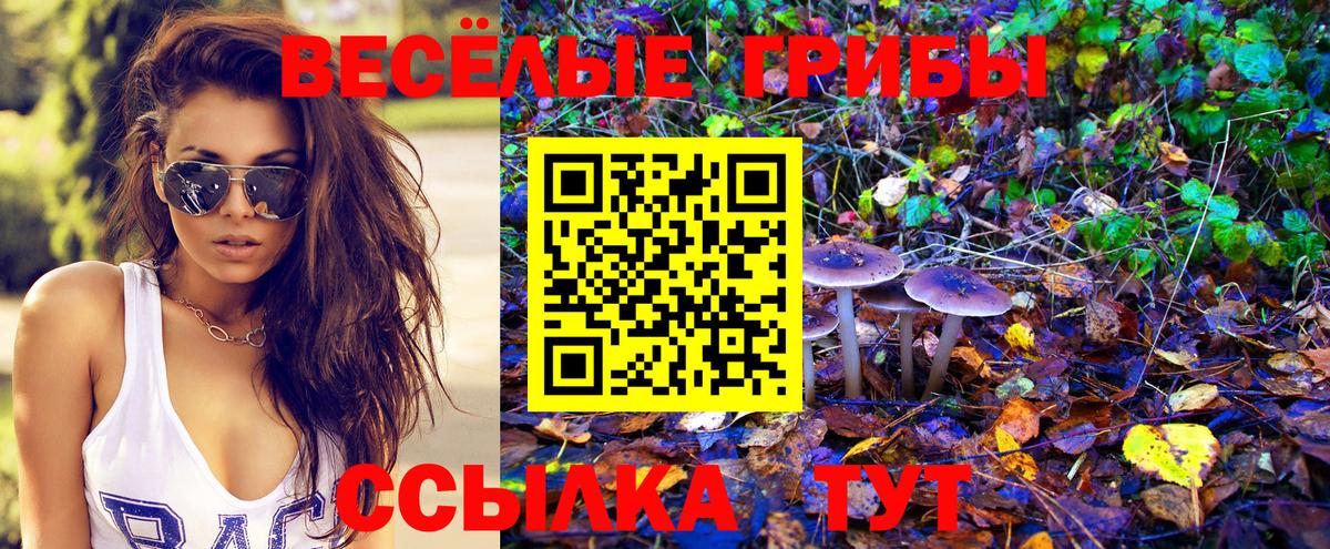 Ростов Великий  Псилоцибиновые грибы ЛСД  Вход с VPN 